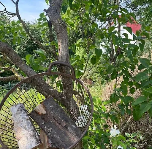 Foryou * Bad Salzschlirf